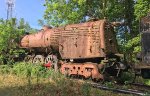 Ex NDEM ALCO 4-8-4 Niagara 3028 in weeds